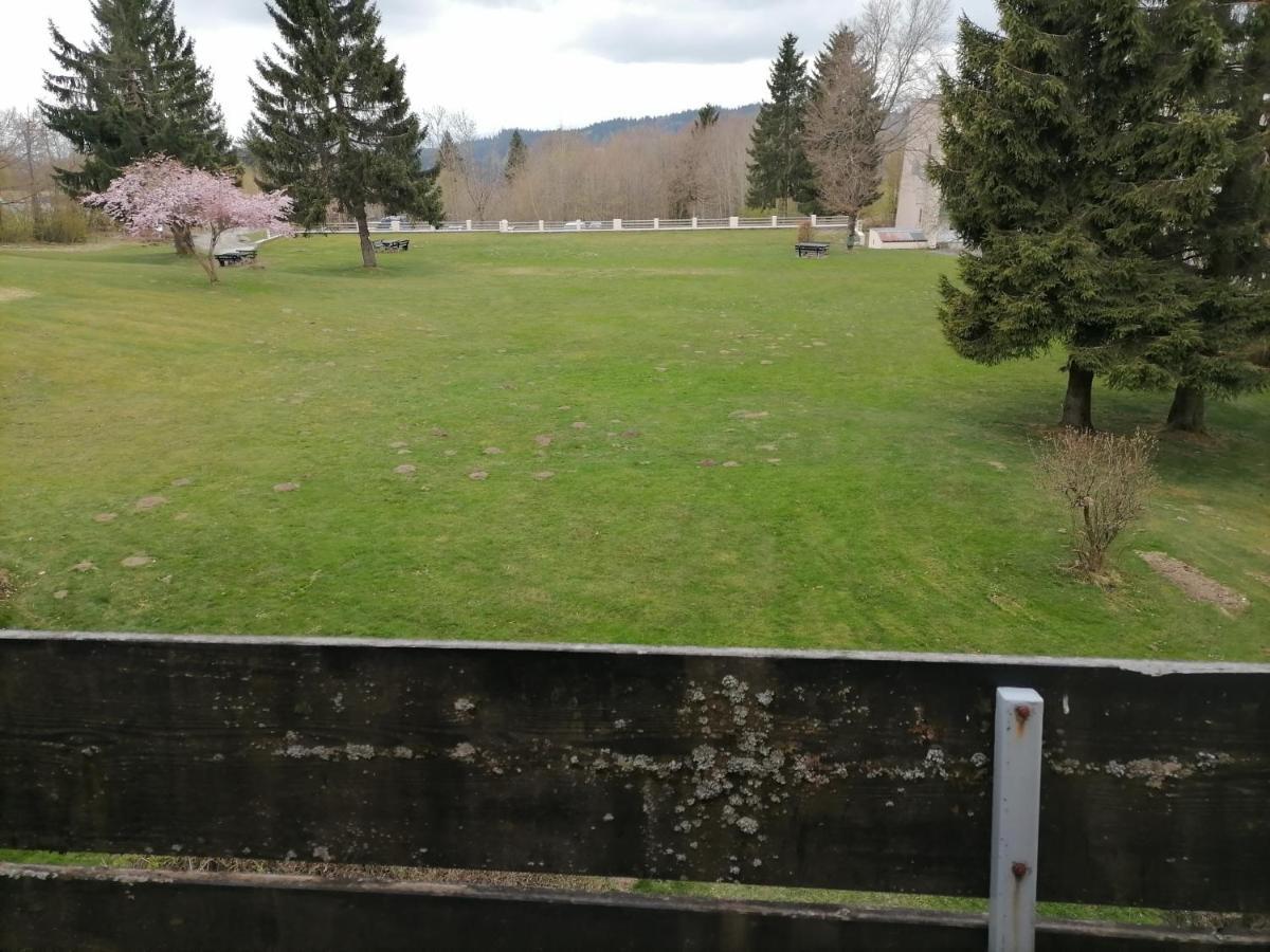 2-Raum Appartement Saxo Sankt Englmar Dış mekan fotoğraf
